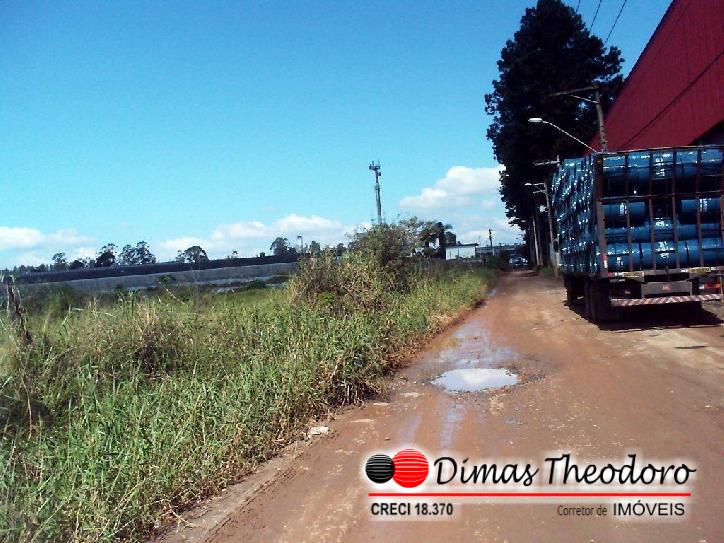 Terreno à venda, 20000m² - Foto 3